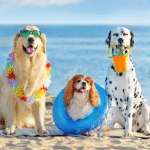 caes aproveitando a praia com seguranca